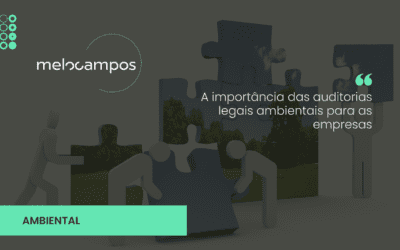 A importância das auditorias legais ambientais para as empresas