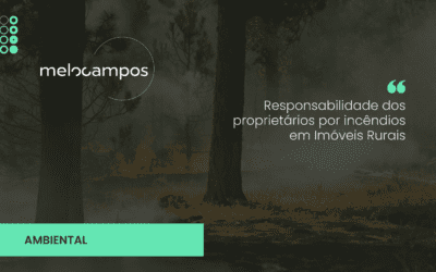 Responsabilidade dos proprietários por incêndios em Imóveis Rurais