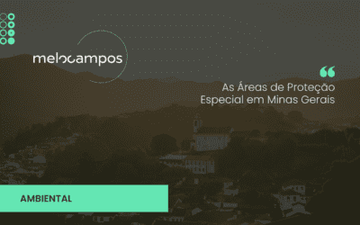 As Áreas de Proteção Especial em Minas Gerais